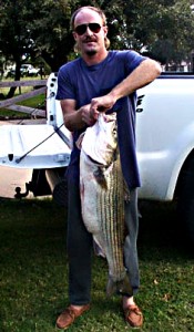 Big Striper